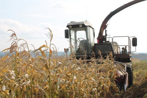 Сельхозпроизводство: почему Харьковщина оказалась в аутсайдерах