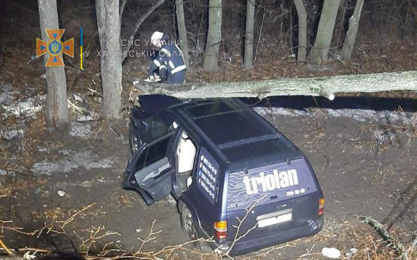 Под Харьковом дерево упало на машину: есть пострадавшие (фото)