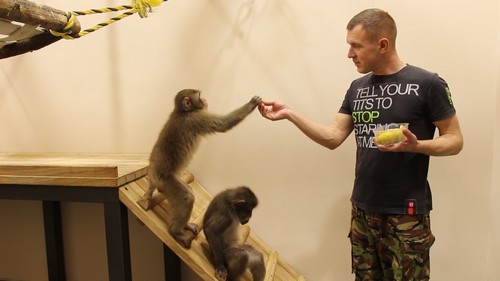 Жителей и гостей Харькова приглашают посмотреть, как кормят диких животных