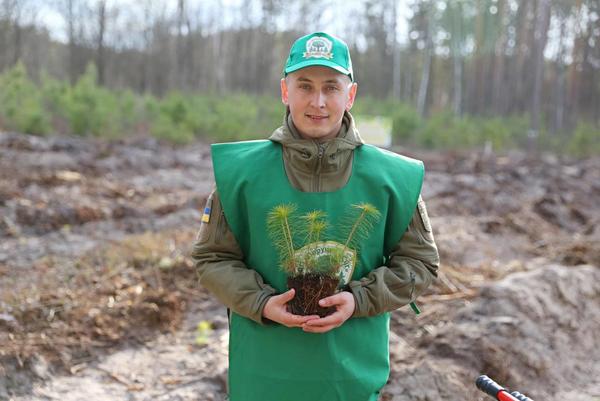 Территорию Харьковщины, продолжают озеленять, несмотря на войну  (фото)