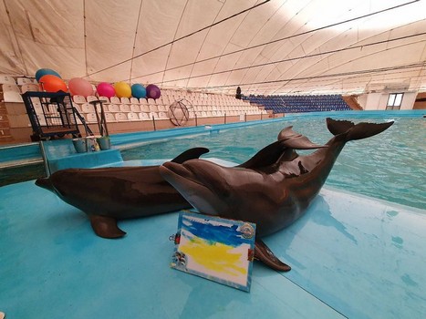 Из харьковского дельфинария вывозят животных: как продвигается эвакуация (фото)