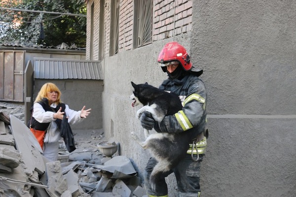 Як боролися з пожежею, рятували людей і тварин на місці ранкового «прильоту» в Харкові: фото, відео