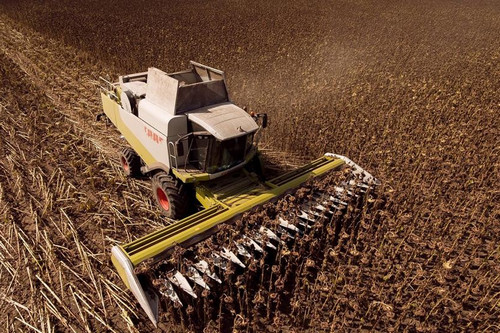 Жнива-2022: харківські аграрії зібрали перші урожаї кукурудзи та соняшника