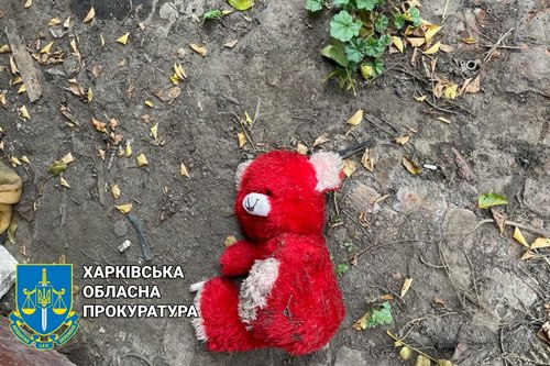 Харківські правоохоронці розслідують вбивство десятирічної дівчинки зі Старої Салтівки (фото)