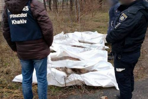На Харківщині ексгумували тіла ще п’ятьох мирних мешканців: від авіабомб загинуло двоє дітей (фото)