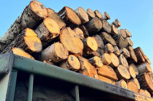 На Харківщині громади зможуть закупити більше дров на зиму