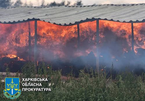 Оприлюднено фото наслідків ворожих ударів по Харківщині