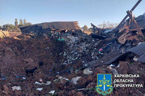 Будинки зруйновано вщент. Загарбники скинули бомбу на село в Харківській області (фото)