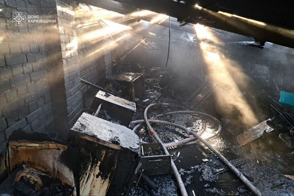 У будинку в Харкові згоріли двадцять котів (фото)