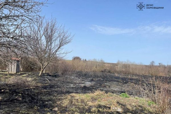 На Харківщині жінка впала у вогонь та загинула (фото)