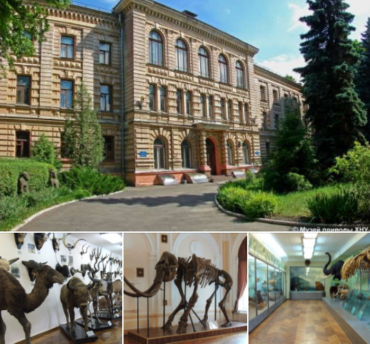 Історичний факт. 2 квітня в Харкові засновано один із найстаріших музеїв Європи (фото)