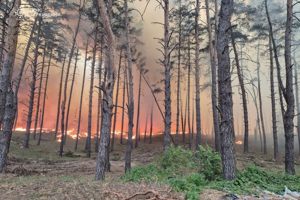 Загарбники спричинили масштабну пожежу в Харківській області (фото)