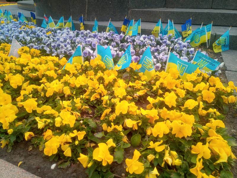 У Харкові з'явилося чуттєве місце вшанування захисників України (фото, відео)