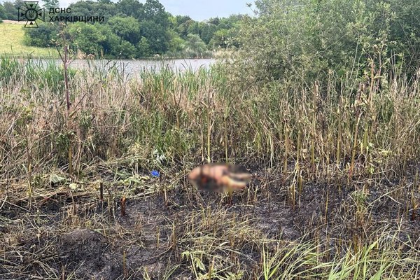 У Харківській області жінка впала в траву та загинула (фото)