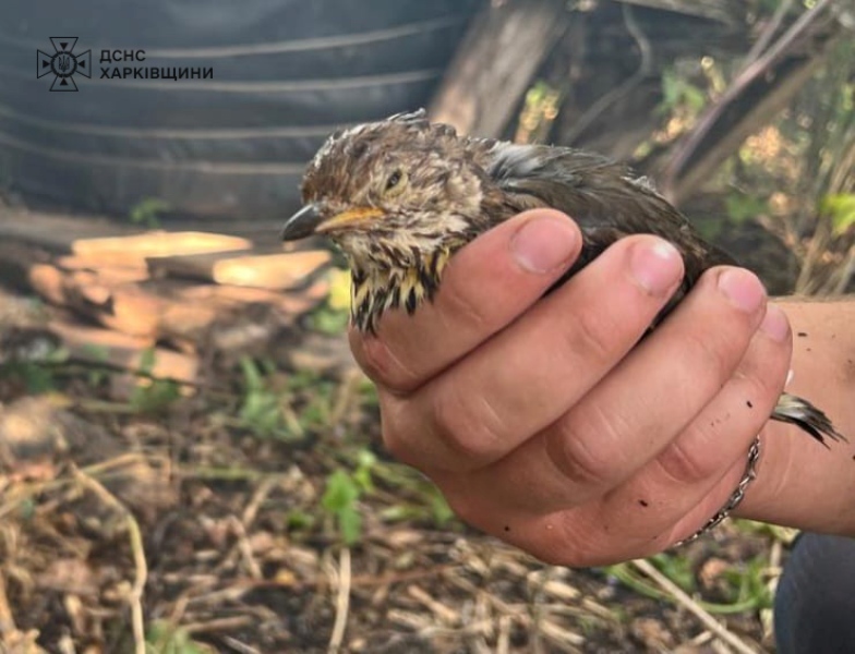 Рятувальники Харківщини борються за кожне життя (фото)