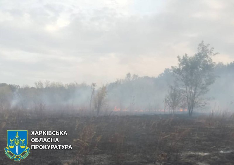 Ворог продовжує коїти воєнні злочини на Харківщині (фото)